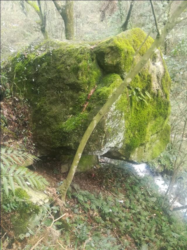 揭秘四不像一肖圖與劉伯溫的傳奇故事,劉伯溫傳奇故事揭秘,四不像一肖圖的神秘面紗